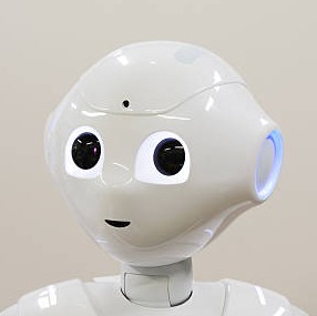 Pepper Robot